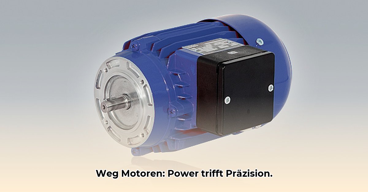weg-motoren
